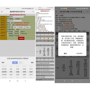 全网首发 九龙道长同款样式八字排盘程序 八字排盘算命源码